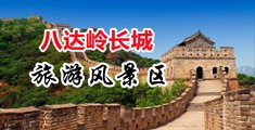 免费观看日逼大中国北京-八达岭长城旅游风景区