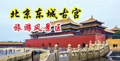 可以看屌屄视频的网站中国北京-东城古宫旅游风景区